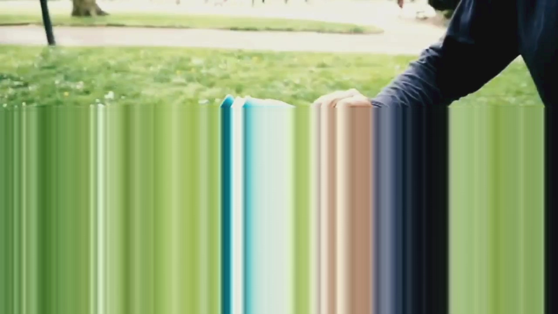 Charger la vidéo : 